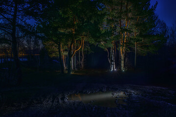 Obraz premium road through dark creepy forest at night