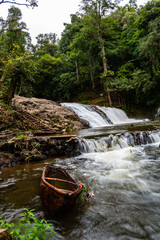 river in the forest