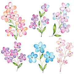 Watercolor flowers set, cherry blossom