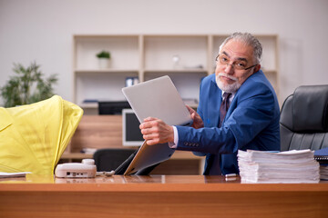 Fototapeta premium Aged businessman employee looking after newborn at workplace