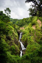 waterfall in the forest