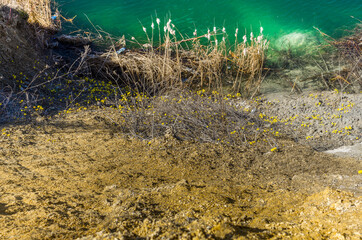 grass and water