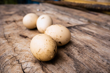 eggs on a wooden table