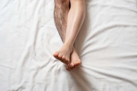 剛毛 Images Browse 1 517 Stock Photos Vectors And Video Adobe Stock