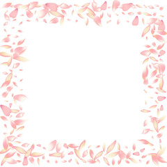 Fototapeta na wymiar White Flower Petal Vector White Background. Pink