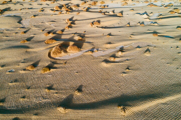 Aerial photography of desert sand fixation