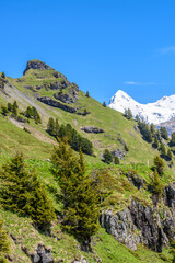 View of beautiful landscape in the Alps with fresh green meadows and snow-capped mountain tops in the background on a sunny day with blue sky and clouds in springtime.