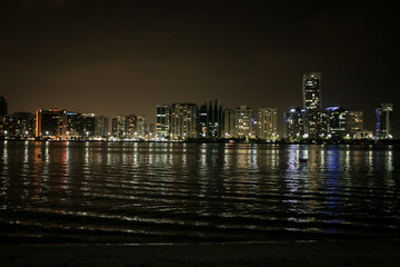 Fototapeta premium city skyline at night
