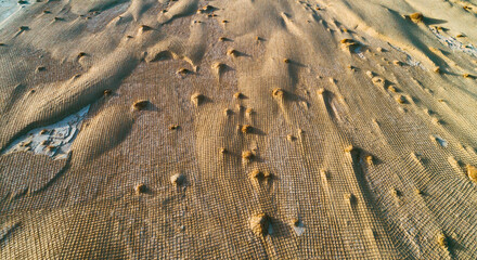 Aerial photography of desert sand fixation