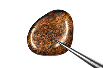 Bronzite jewel stone texture in tweezers on white light isolated background. Macro closeup.