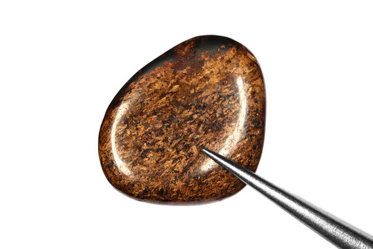 Bronzite jewel stone texture in tweezers on white light isolated background. Macro closeup.