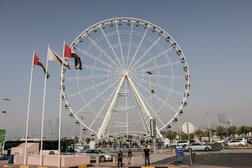 ferris wheel in the city