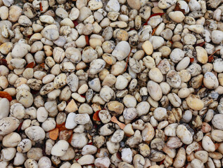 Pebbles, surface