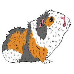 Cute Guinea Pig or Guineapig Pet Cartoon Illustration in Vector