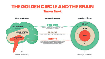 The Golden Circle and brain illustration of Simon Sinek has 3 elements starting with Why question. Diagram vector presentation inform the origin of human performance or behavior of user target goal 