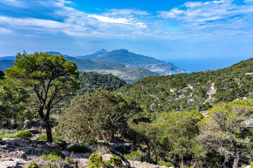 Schönes Mallorca: Wanderung im Naturpark über Valldemossa auf dem historischen Reitweg des Erzherzogs Salvator auf den Caragoli - Panoramablick aufs Meer