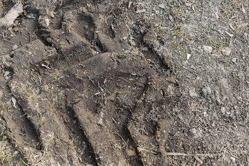 tire tracks on the ground