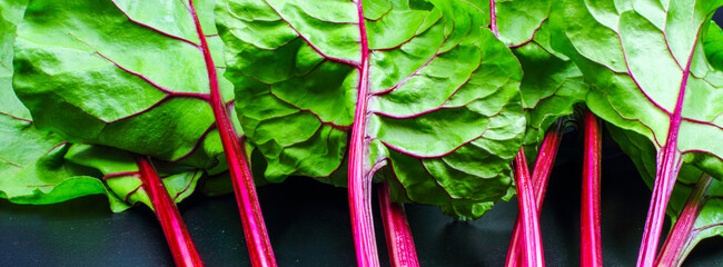 Pink and purple leaf stems stalks and veins on lush green beetroot plant leaves.  Macro closeup isolated on black background. An edible food for salad and to cook. © William Richardson
