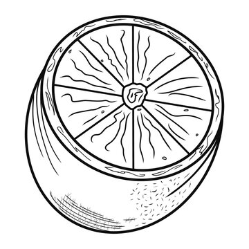 A half of contour limon icon. Creative illustration. Black sketch. Idea for decors, logo, patterns, papers, covers, gifts, summer and spring holidays, organic food themes. Isolated vector art.