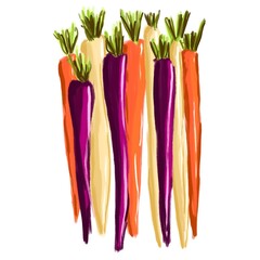 bunch of rainbow carrots