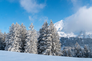 Winter Wonderland - frisch verschneite Landschaft in den Bergen