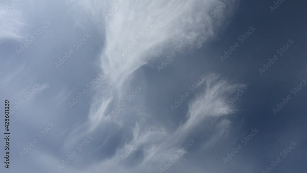 Canvas Prints isolated wispy cirrus clouds move across a in a stunning blue sky.