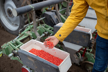 Corn seeds in seeder box in field