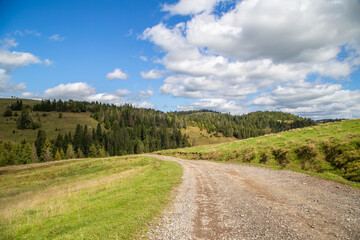 Fototapeta na wymiar road on a background of forest and hills and fields blue sky with clouds. Landscape nature.
