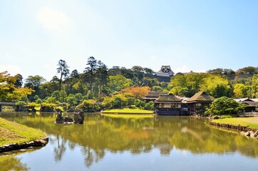 Fototapeta premium 玄宮園から望む彦根城 天守閣