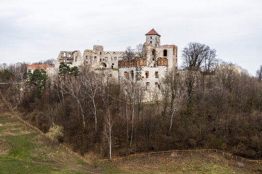 Zamek Tenczyn w Rudnie