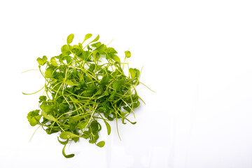 fresh green watercress salad on a white background