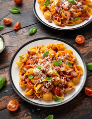 Conchiglie alla Amatriciana pasta with pancetta bacon, tomatoes and pecorino cheese. Healthy Italian food