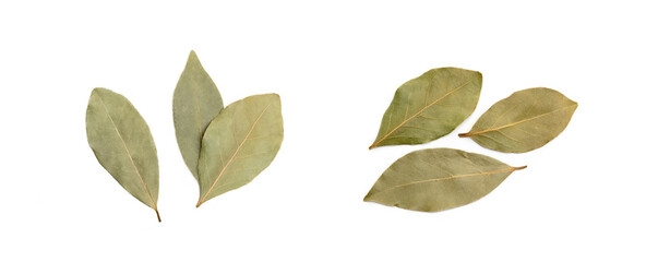 Dried bay leaf isolated on white background