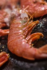 Gamba