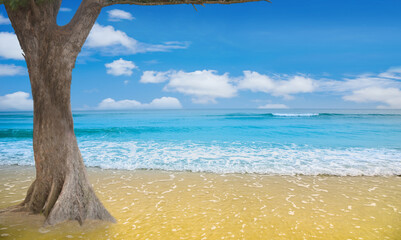 Fototapeta premium Blue sea interspersed with blue skies and golden beaches.