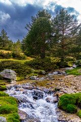 El color verde es vida. 