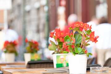 Flowers tables and chairs of an outdoor cafe in europe
