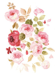 Flowers watercolor illustration.Manual composition.Big Set watercolor elements，Design for textile, wallpapers，Element for design,Greeting card