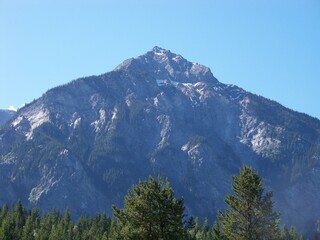 mountain behind the forest of pine trees