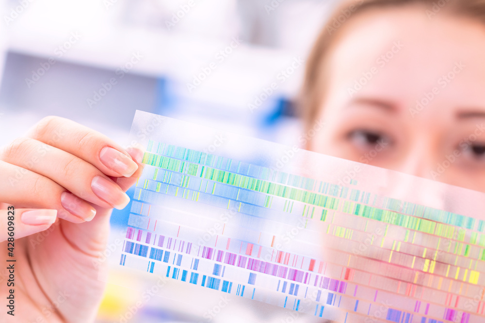 Poster Young woman examines a spectroscopy picture in a quantum physics laboratory