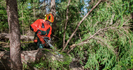 Caucasian worker cutting a tree with chainsaw