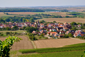 Blick von den Weinbergen auf den Winzerort Bullenheim, Markt Ippesheim, Landkreis Neustadt a.d....