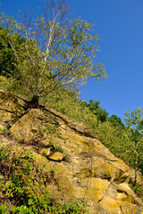 Geotop in den Weinbergen bei Bullenheim, Markt Ippesheim, Landkreis Neustadt a.d. Aisch-Bad Windsheim, Mittelfranken, Franken, Bayern, Deutschland