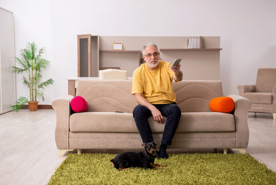 Aged Man With Little Dog At Home