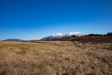 Out for a walk in great spring weather,Helgeland,Nordland county,Norway,scandinavia,Europe