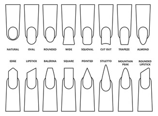 Shape nail vector illustration on white background. Isolated outline set icon fingernail. Vector outline set icon shape nail.