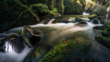 COME LIGHT © Francisco