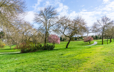 Obraz premium City Park In Spring