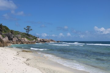 Scene from Seychelles