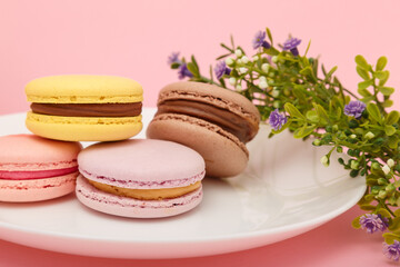 Fototapeta na wymiar Plate of macaroons on pink background with flowers. Drink in bottle. Sweet pastry, baked products, sweets, dessert.
